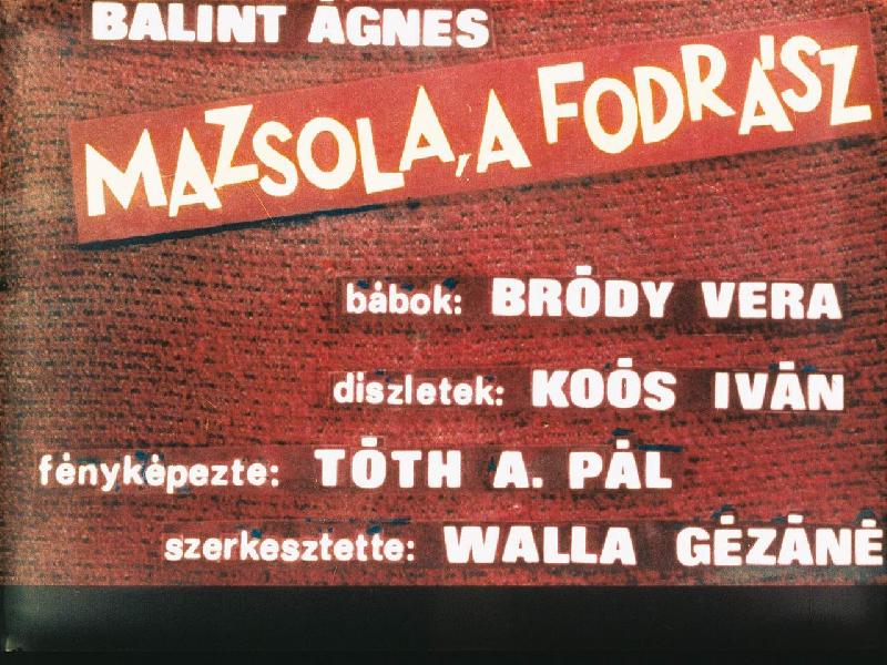 Mazsola, a fodrász 