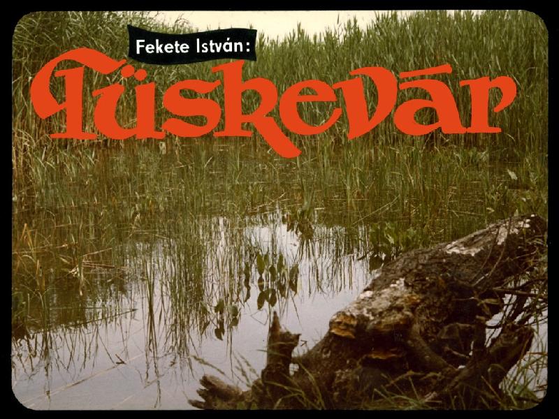 Tüskevár 