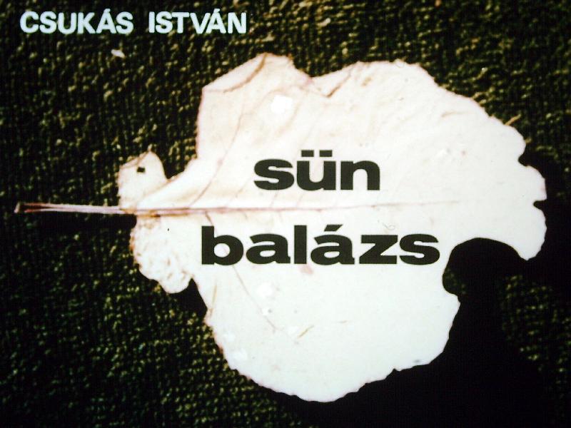 Sün Balázs 