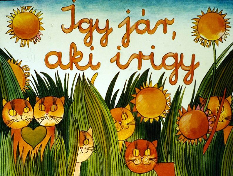 Igy jár, aki irigy 