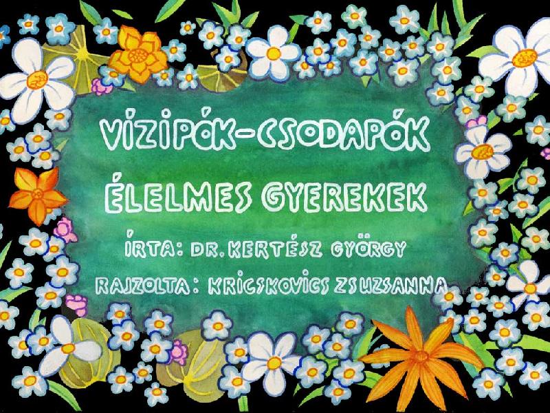 Vízipók-csodapók : Élelmes gyerekek 
