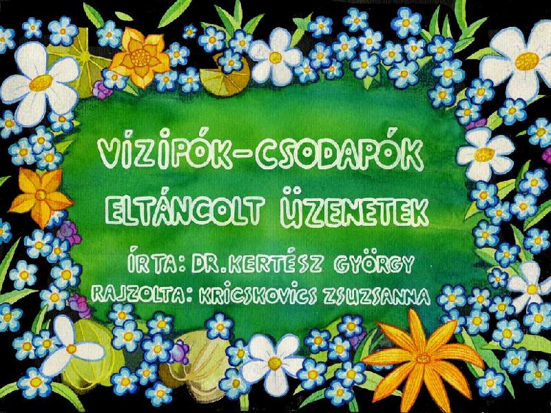 Vízipók-csodapók : Eltáncolt üzenetek 