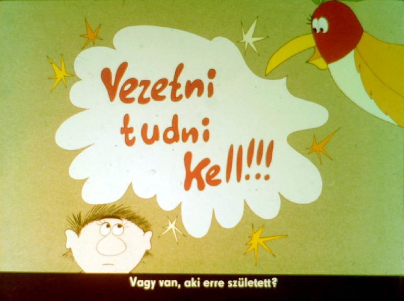 Vezetni tudni kell! I. : A tájékozódás 