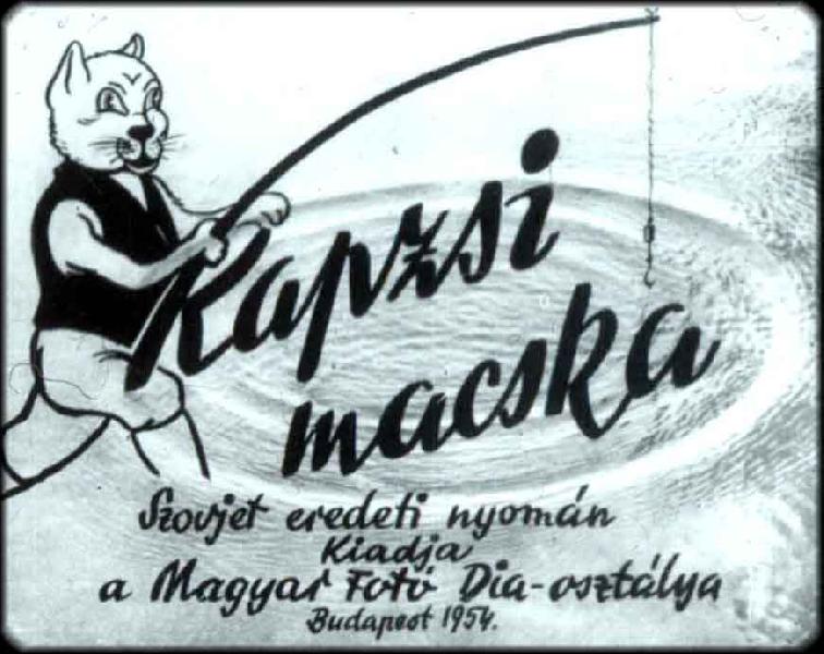 Kapzsi macska 