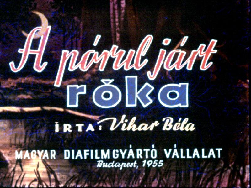 A pórul járt róka 