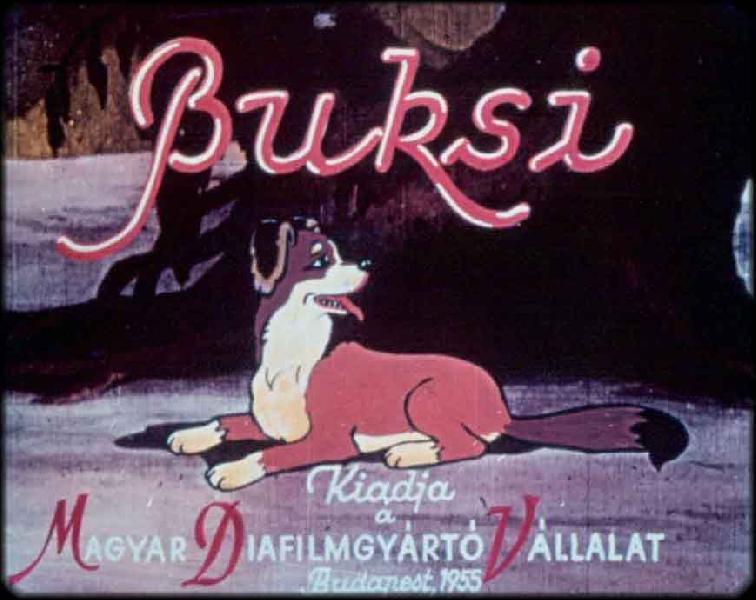 Buksi 