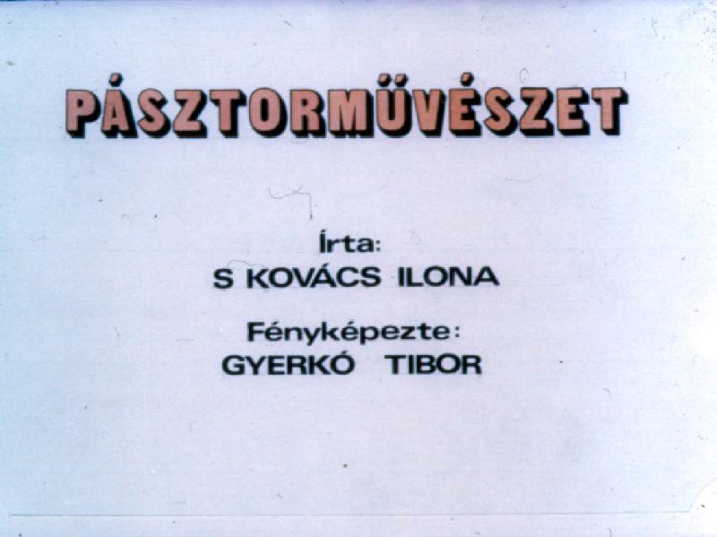 Pásztorművészet 