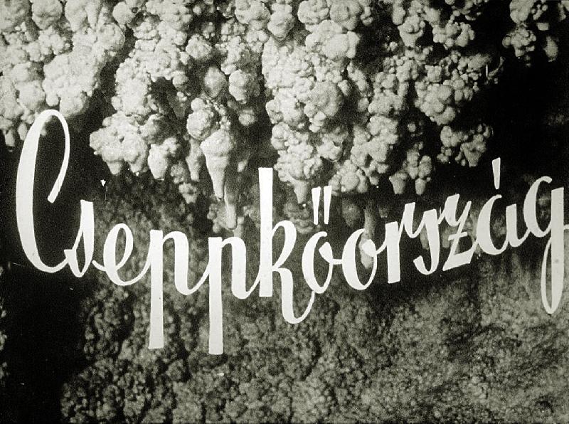 Cseppkőország 
