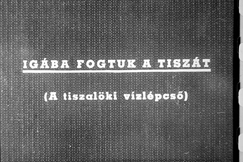 Igába fogtuk a Tiszát 