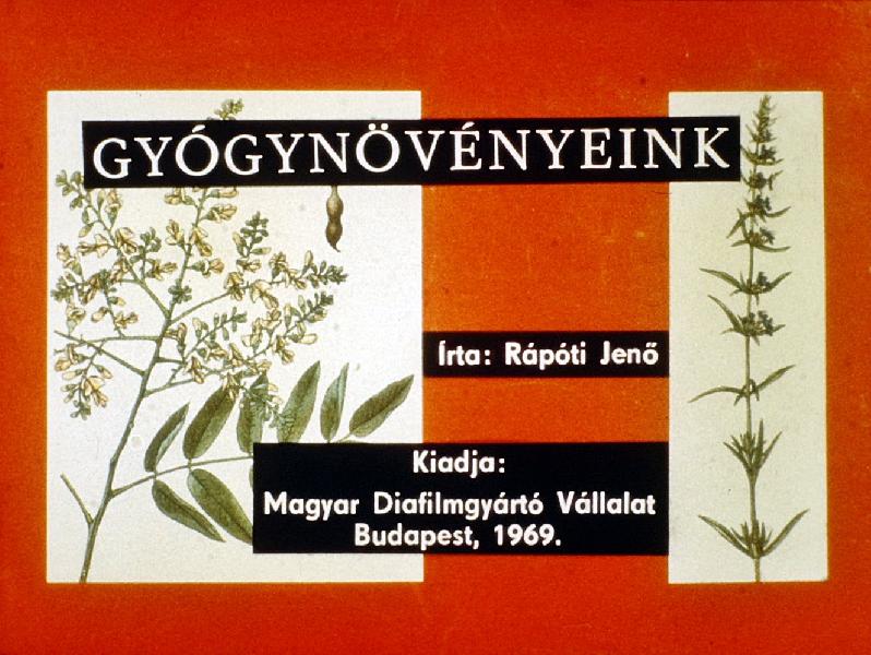 Gyógynövényeink 