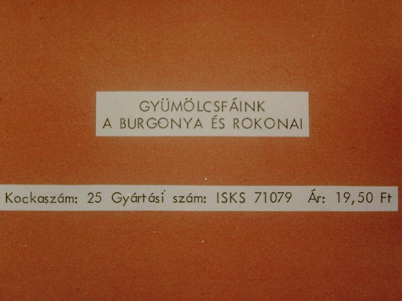 Gyümölcsfáink A burgonya és rokonai 