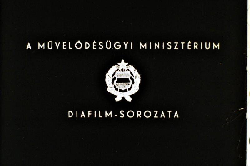  A növények társulása 