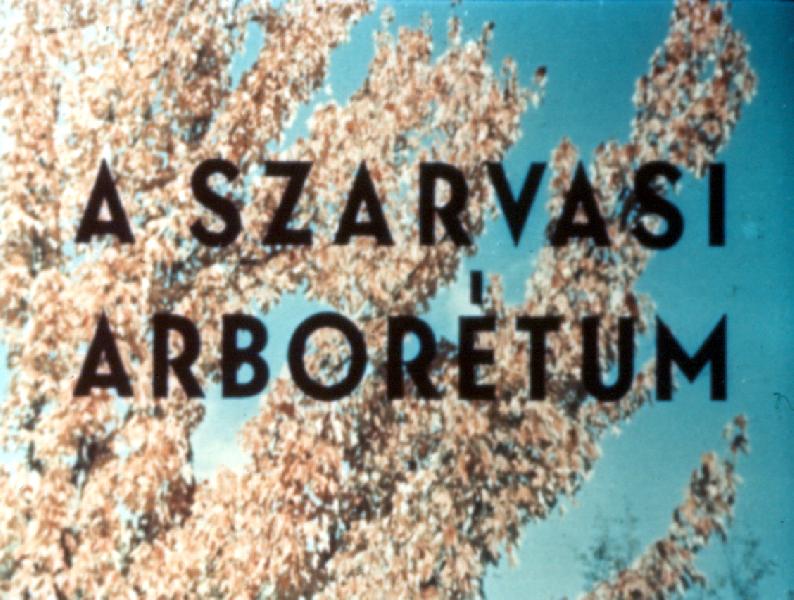 A szarvasi arborétum 