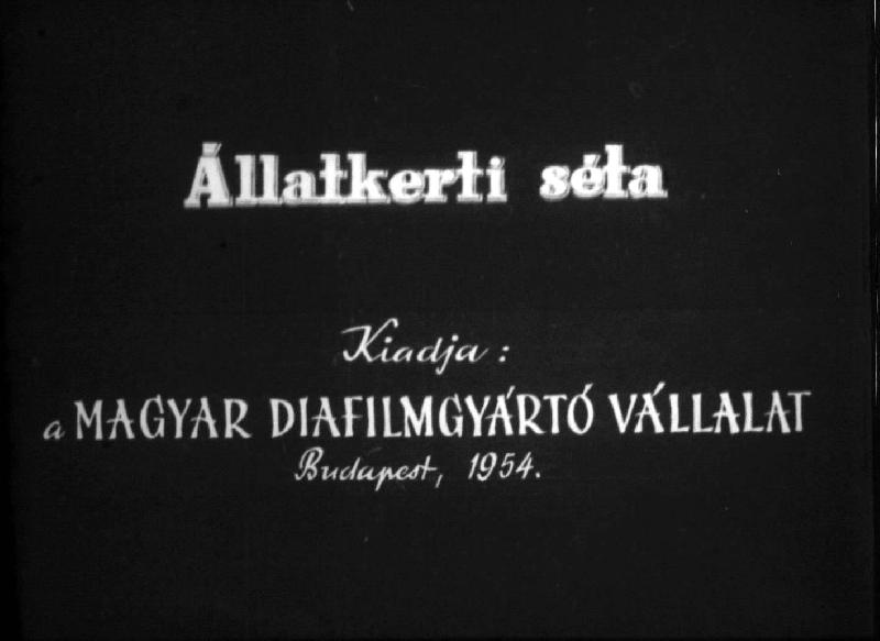 Állatkerti séta 