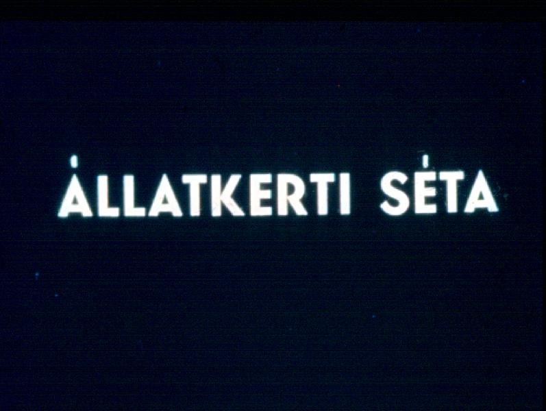 Állatkerti séta 