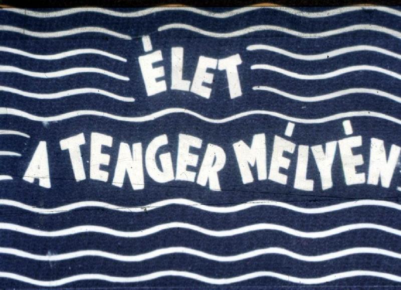 Élet a tenger mélyén 