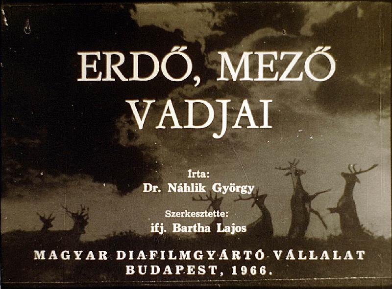 Erdő, mező vadjai 