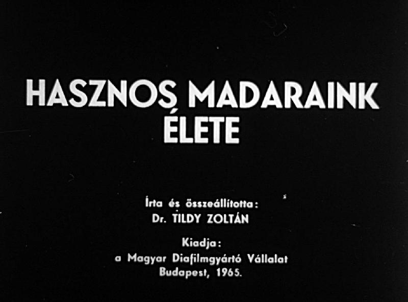 Hasznos madaraink élete 