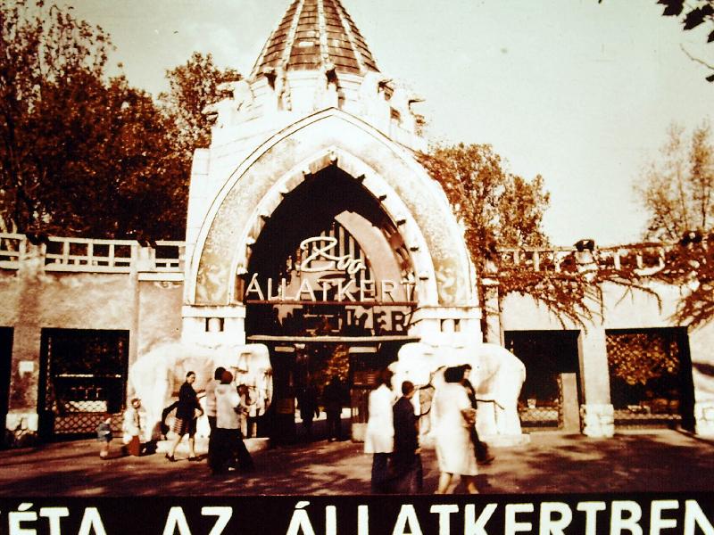 Séta az állatkertben 