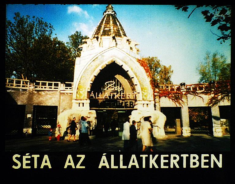 Séta az állatkertben 