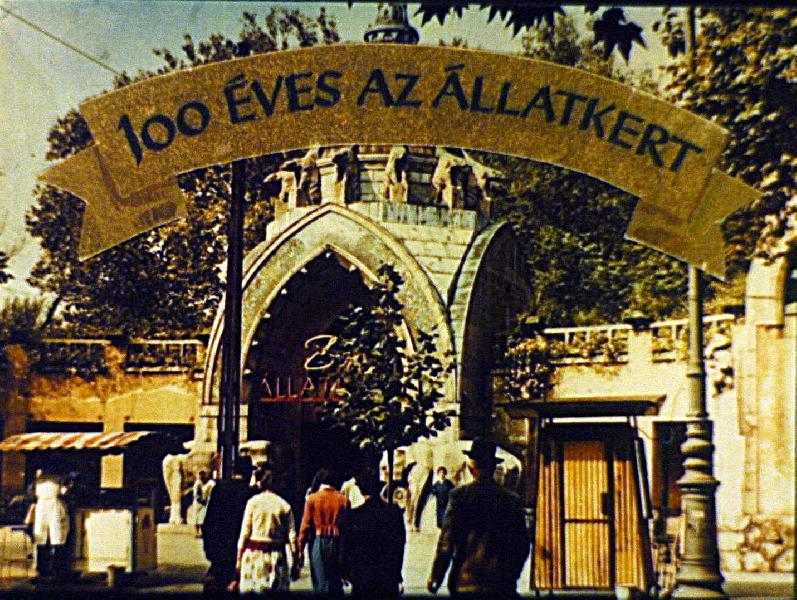 100 éves az állatkert 