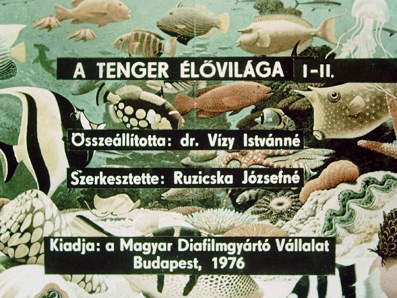 A tenger élővilága I-II