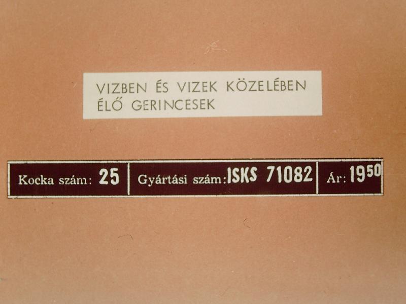 Vízben és a vízek közelében élő gerincesek 