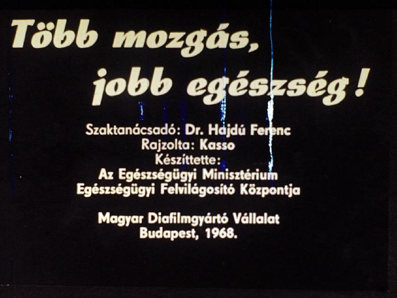 Több mozgás, jobb egészség 