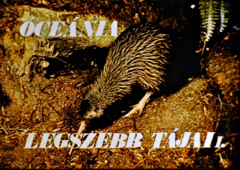 Óceánia legszebb tájai I-II.
