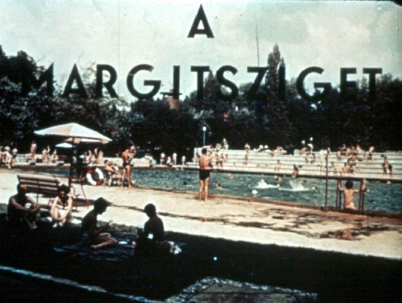 A Margitsziget 