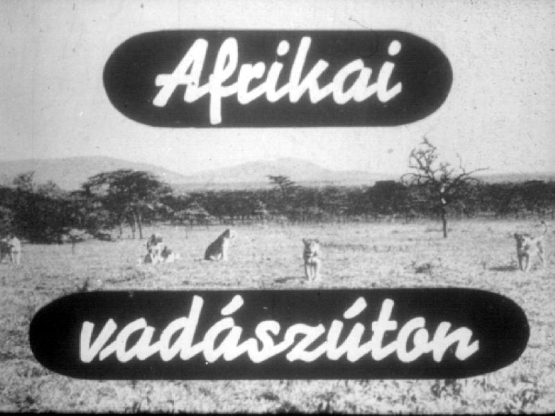 Afrikai vadászúton 