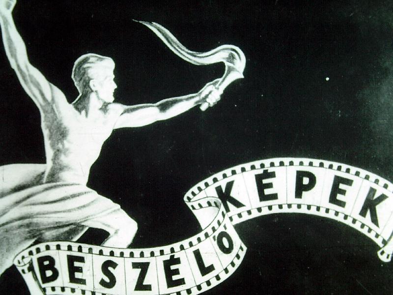 A legfontosabb növényápolási munkák 