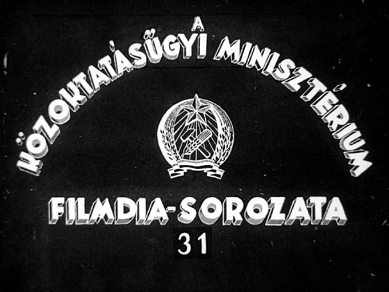 Karsztjelenségek 