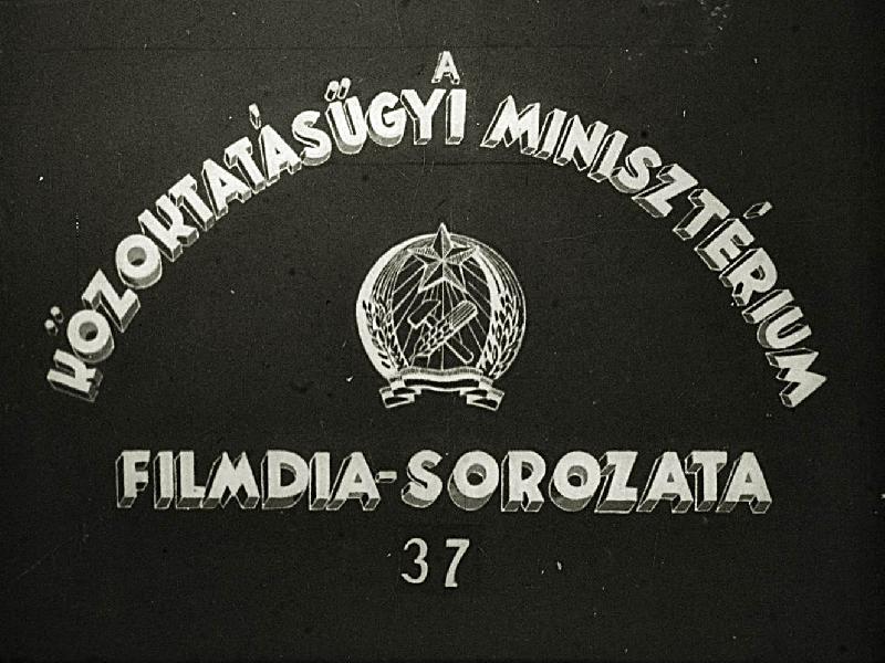 Vulkánosság 