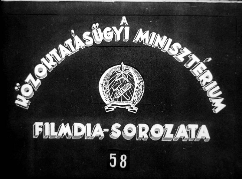 Rovarok I.
