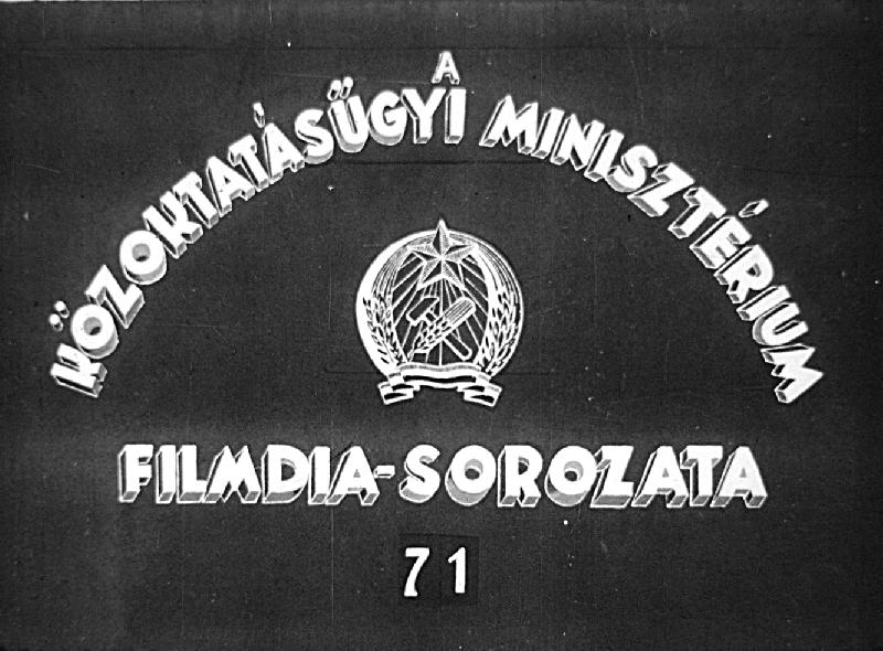 Szervek fejlődése 