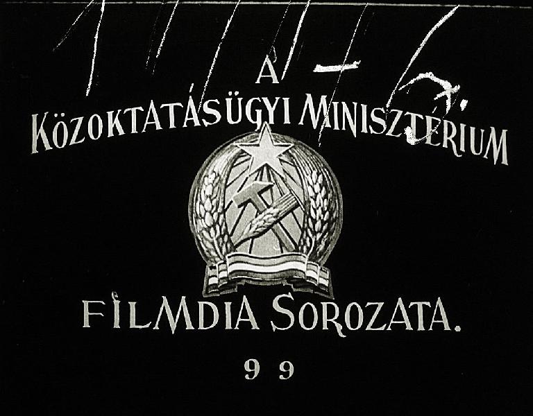 Zuzmók és mohák 