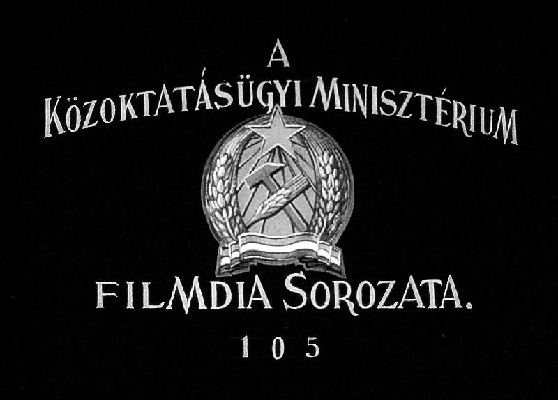 Mirtuszviráguak, juhar-és benge-félék 