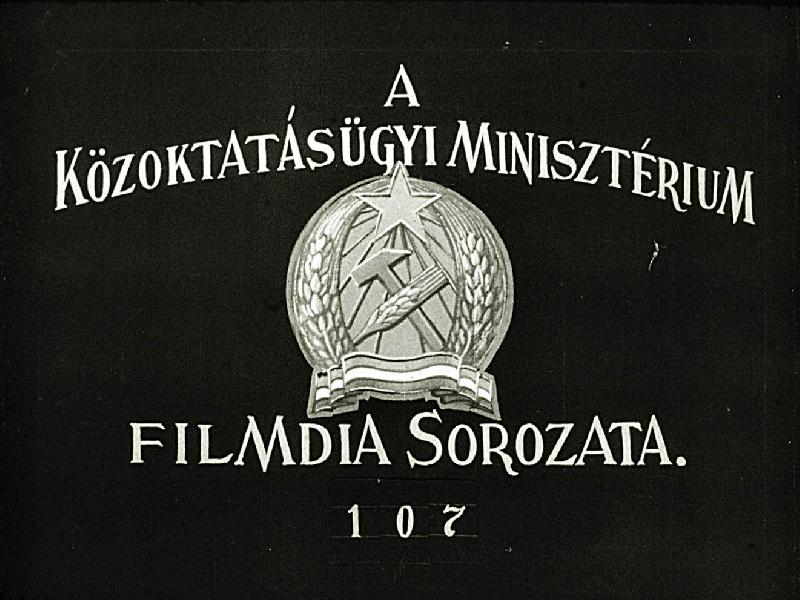 Mályva-és gólyaorrvirágúak, kutyatej-és fagyalfélék 