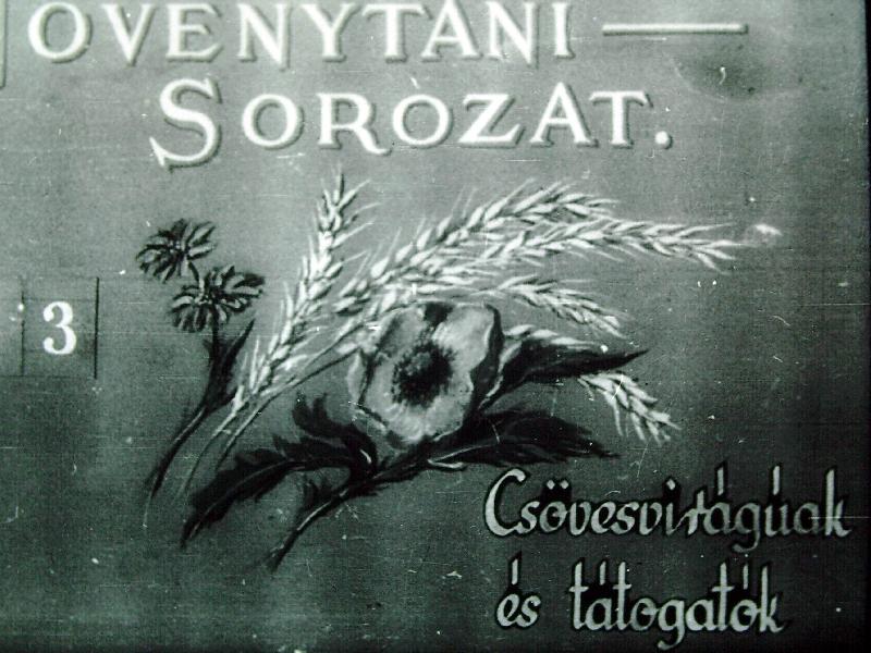 Csövesvirágúak és tátogatók sorozata 