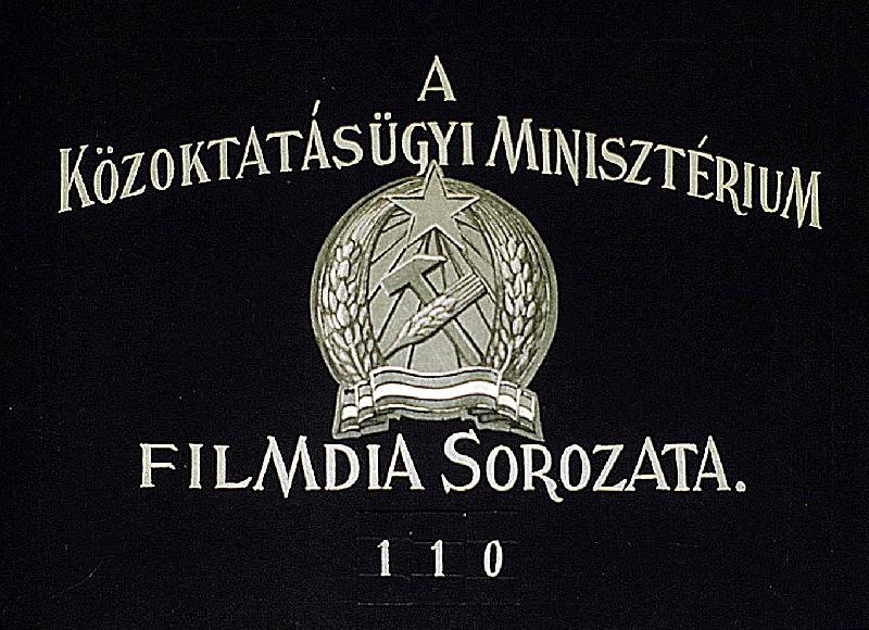 Rovarfogók, ibolyavirágúak, tök-harangvirág, és hanga-félék 