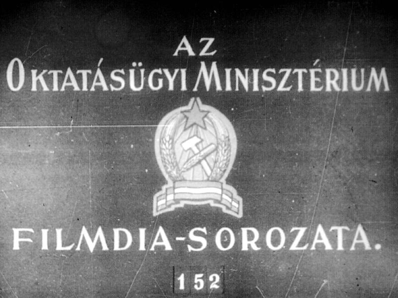 Az állatvilág történeti fejlődése I. : Az élet kialakulása