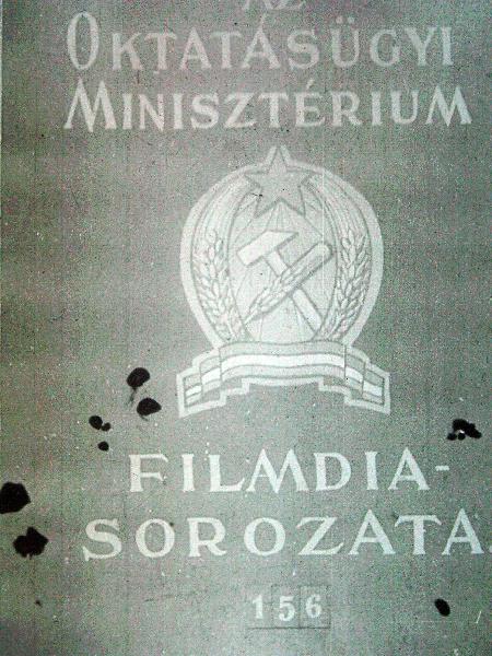 Táplálékaink 