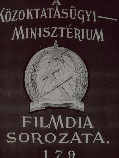Kaktuszfélék családja 