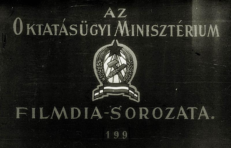 Makarenko 