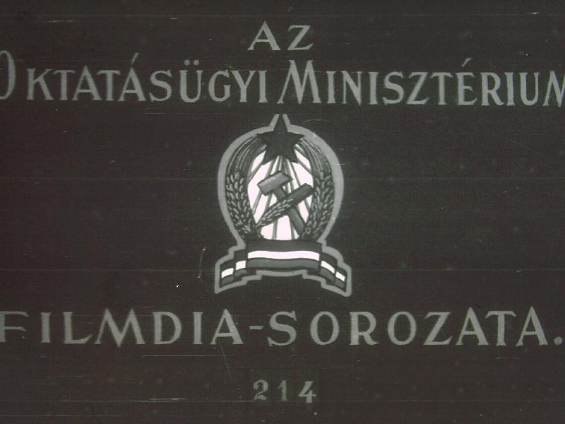 A mozgás aktív szervei I-II.