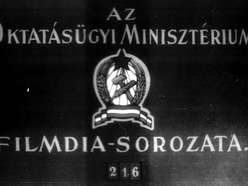 Ausztrália állatai I.