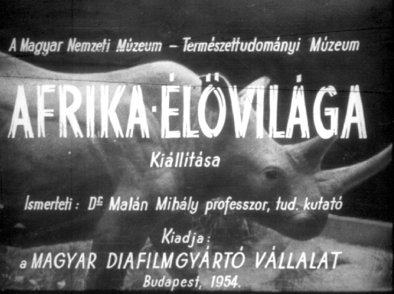 Afrika élővilága