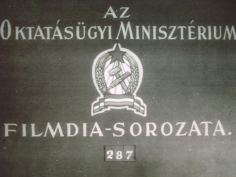 Norvégia 