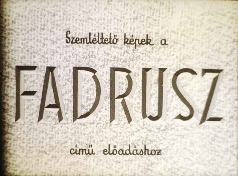 Fadrusz 